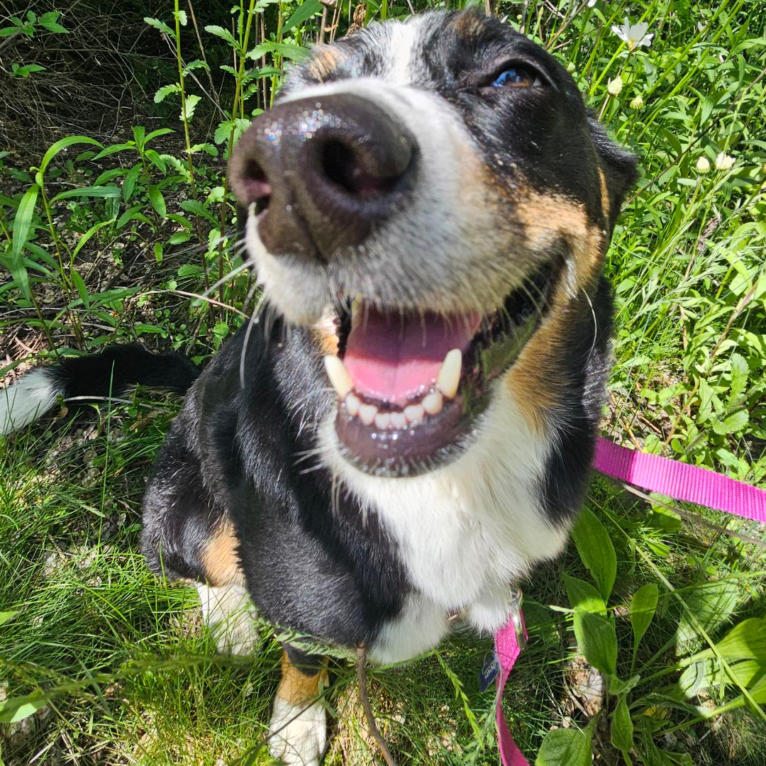 she has a beautiful smile